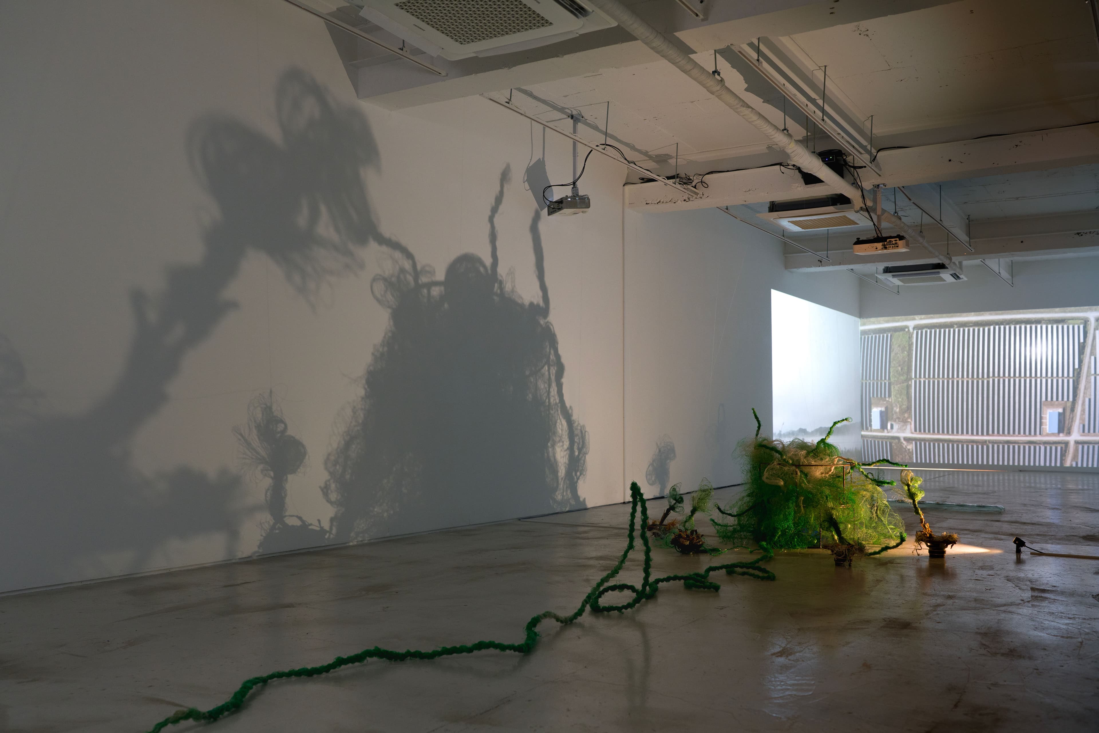 Installation view 6