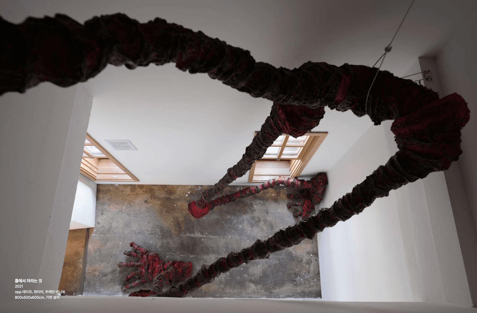 틈에서 자라는 것