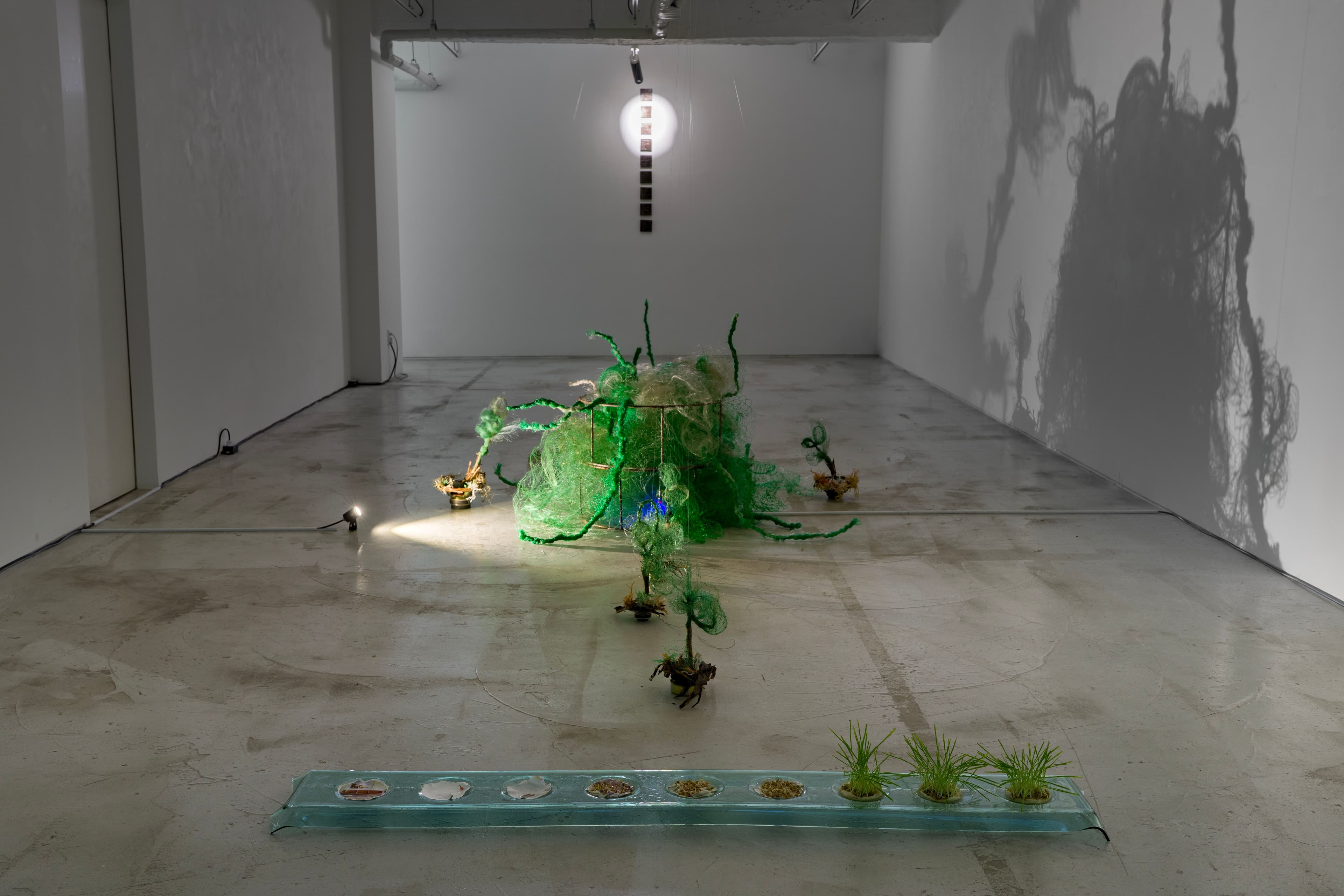 Installation view 8