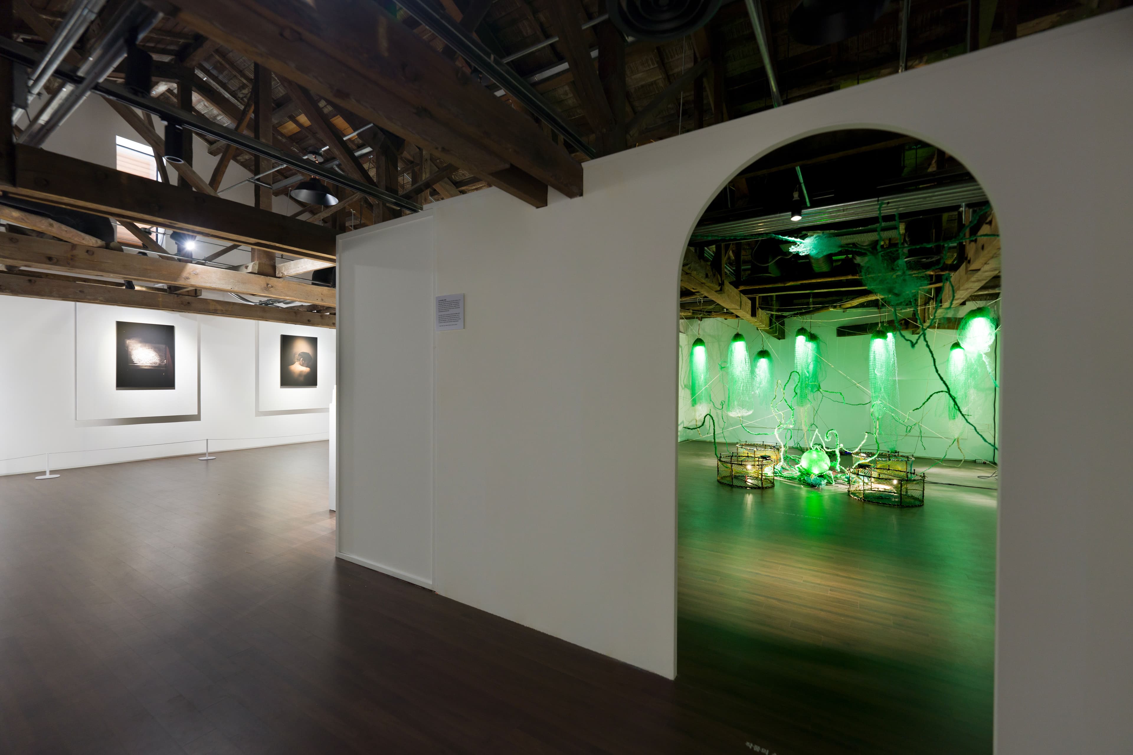 Installation view 6